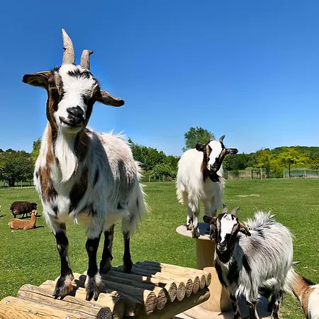 Campanile Val De France Hotel
