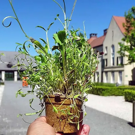 Campanile Val De France 3*