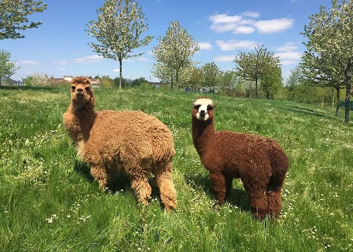 Campanile Val De France Hotel