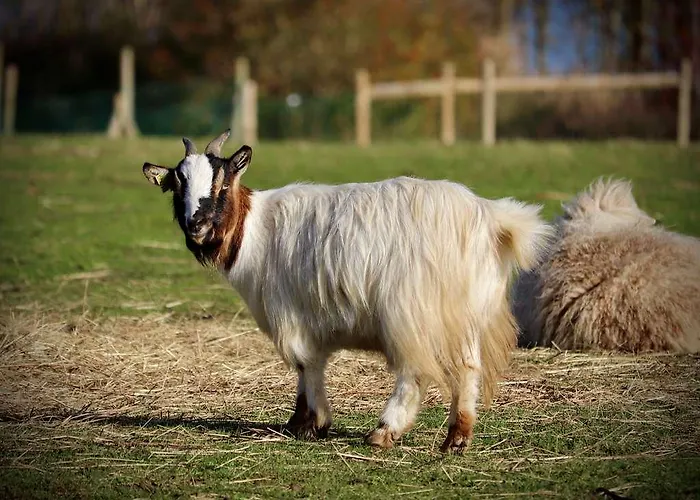 Hotel Campanile Val De France Magny-le-Hongre