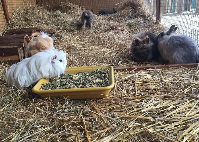 Campanile Val De France 3*