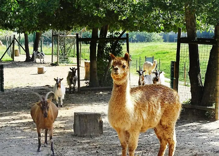 Campanile Val De France Hotel