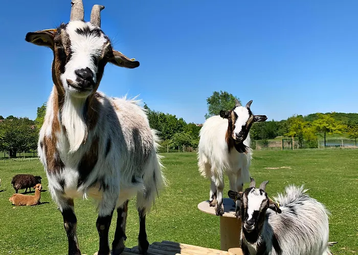 Campanile Val De France Hotel