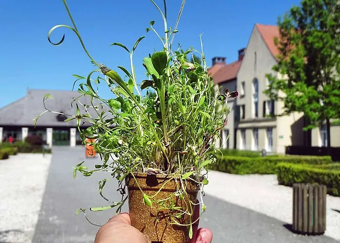 Campanile Val De France 3*