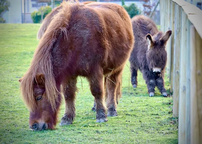 Campanile Val De France 3* Magny-le-Hongre